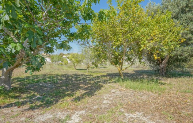 Herverkoop - Farm - Benitachell / El Poble Nou de Benitatxell - Centro