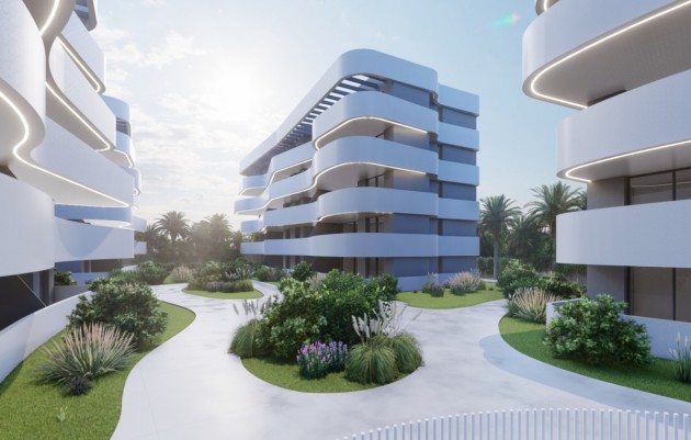 Nouvelle construction - Villas - Guardamar del Segura - Guardamar Del Segura