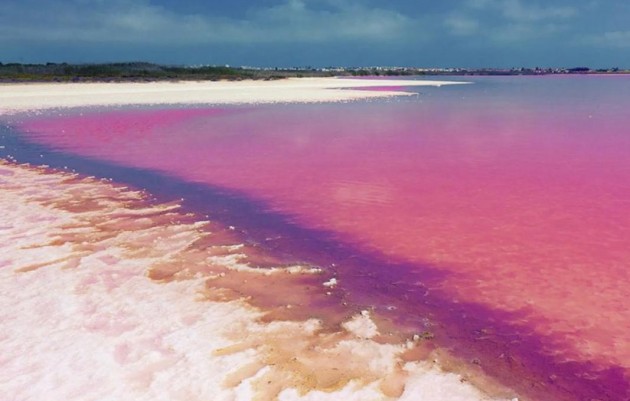 Nieuwbouw - Bungalows - Torrevieja