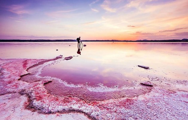 Nieuwbouw - Bungalows - Torrevieja