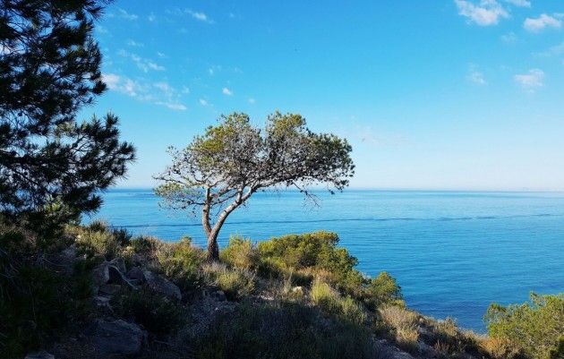 Nouvelle construction - Appartement - Villajoyosa - Playa Les Torres